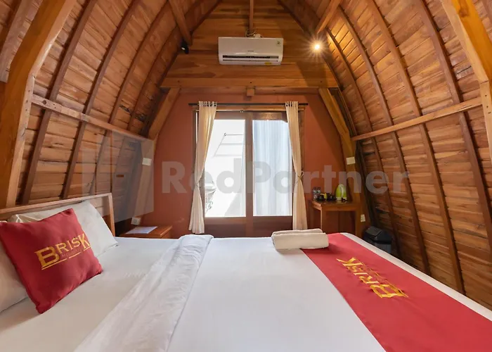 Hotel Brisk Redpartner 2*